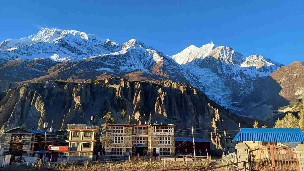 Manag View.
