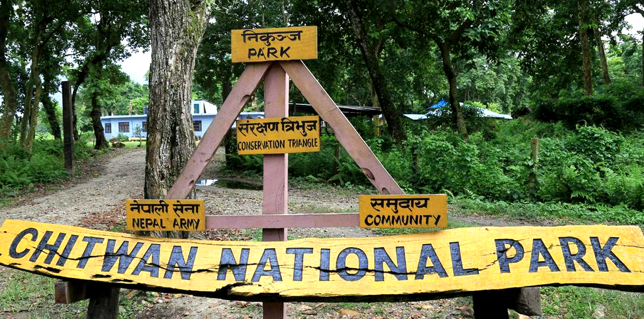 Chitwan National Park.