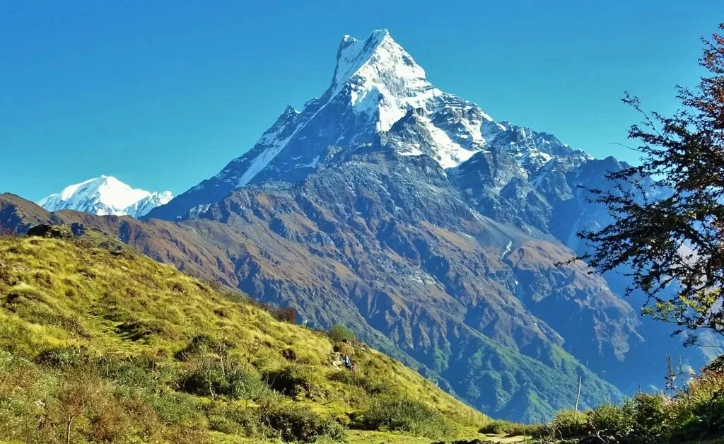 A stunning view of Machhapuchhre rising above lush green hills on the Mardi Himal trail.